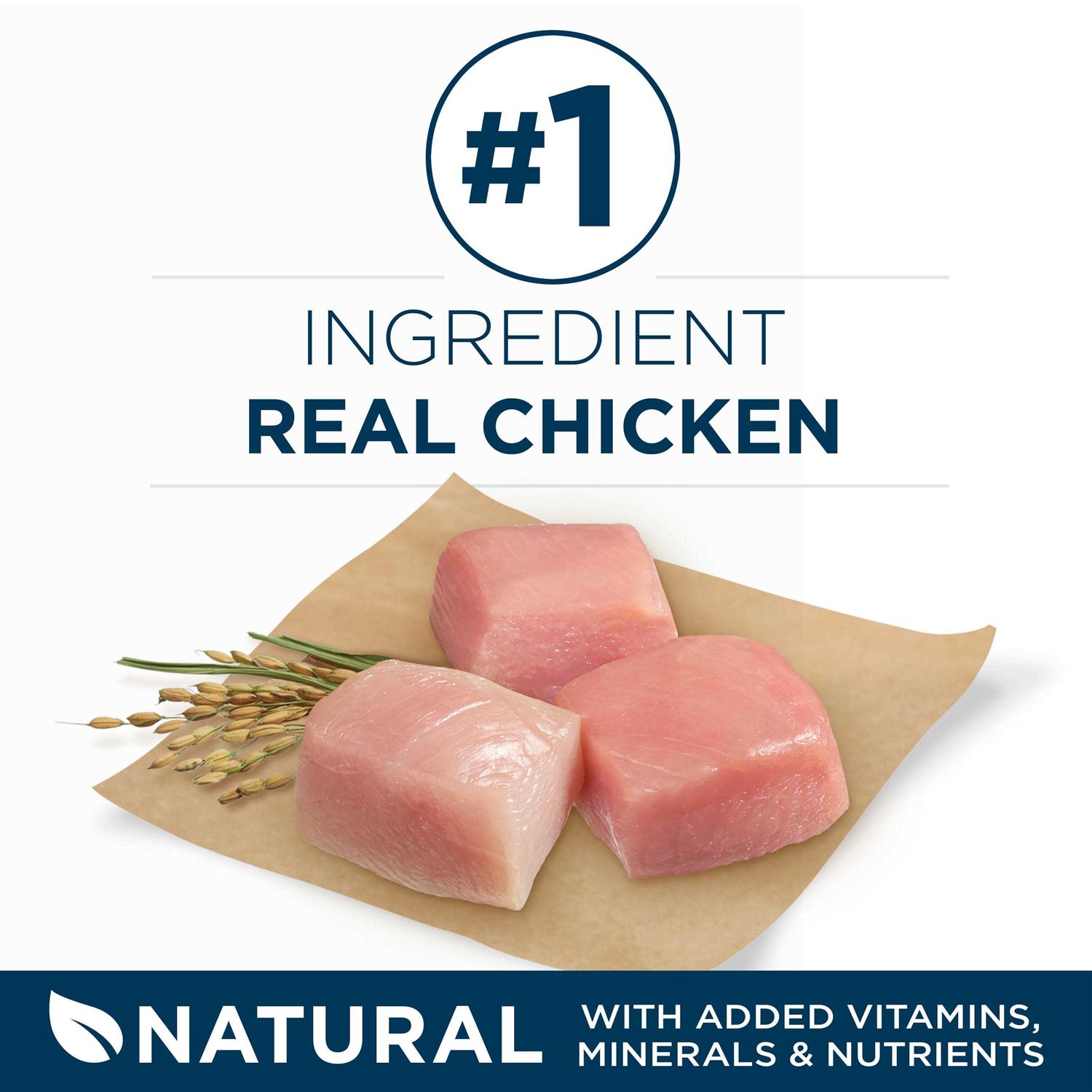 Purina ONE SmartBlend Large Breed Adult Dry Dog Food - Image 2