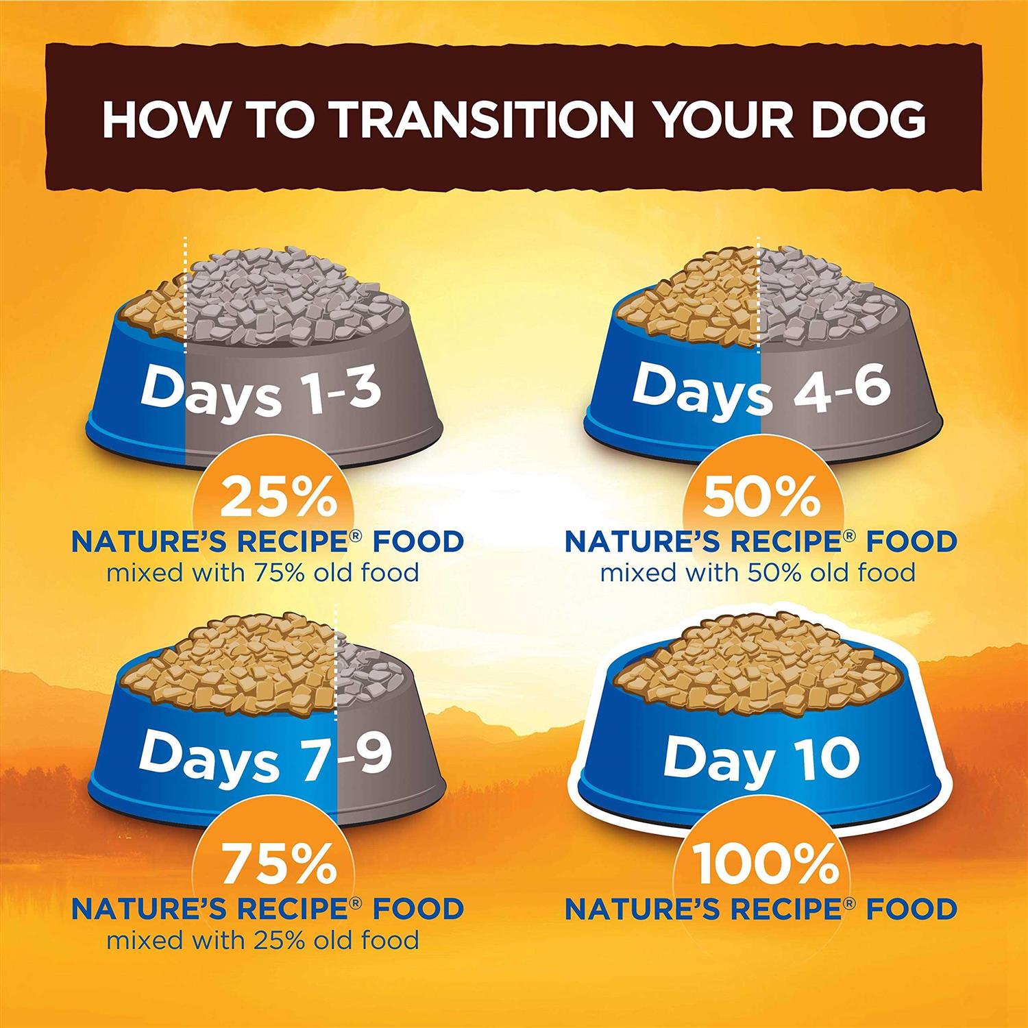 Nature's Recipe Grain Free Chicken Recipe Broth Wet Dog Food - Image 4