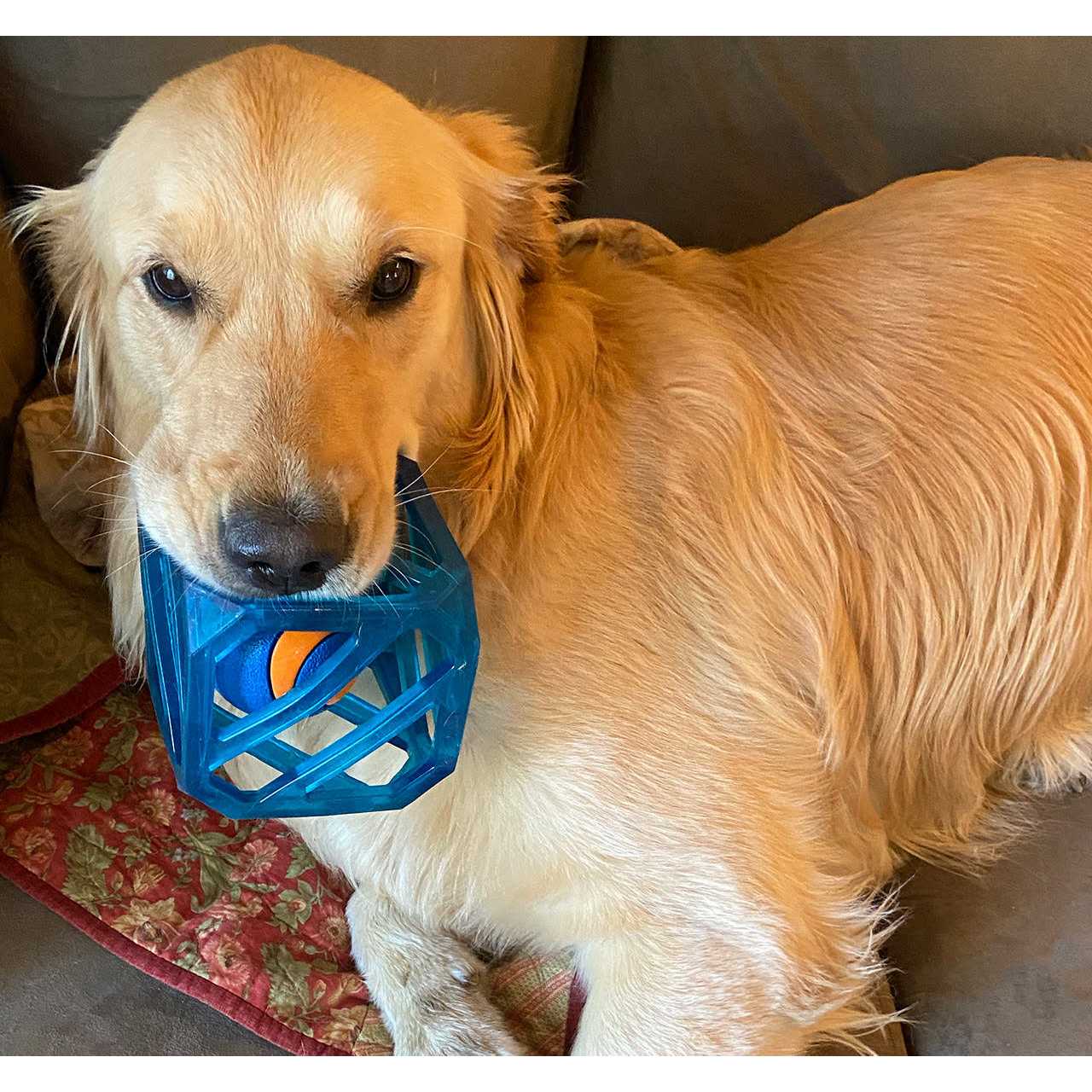 Outward Hound Puzzle Cube Interactive Dog Toy - Image 3