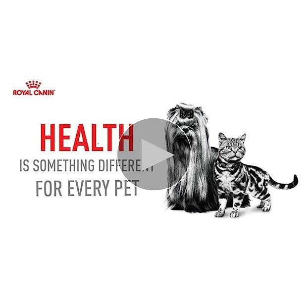 Royal Canin Canine Health Nutrition Adult Beauty Loaf in Sauce Canned Dog Food - Image 4