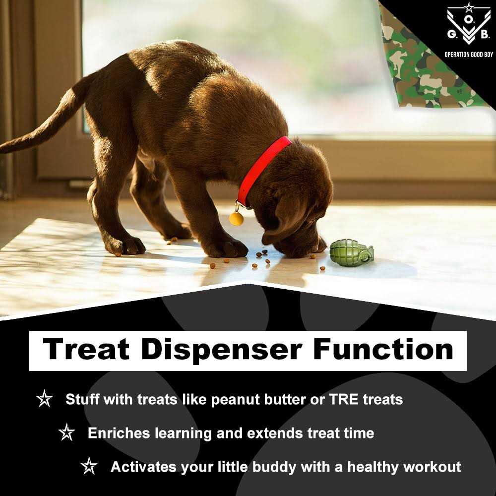 Operation Good Boy Grenade Dog Toy - Image 3