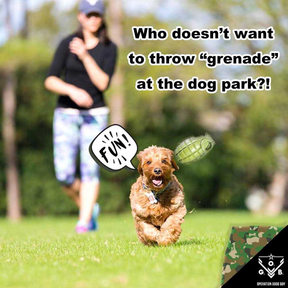 Operation Good Boy Grenade Dog Toy - Image 4