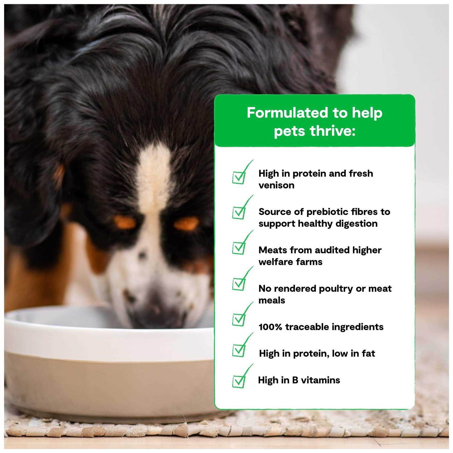 Open Farm New Zealand Venison Grain Free Dry Dog Food - Image 4