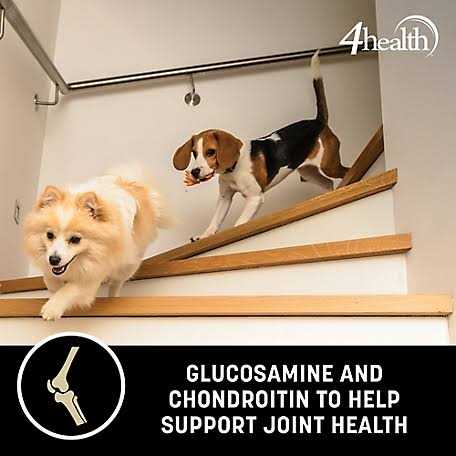 4health with Wholesome Grains Adult Healthy Weight Chicken Formula Dry Dog Food 1024381 - Image 3