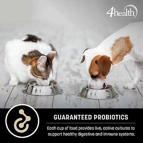 4health with Wholesome Grains Adult Healthy Weight Chicken Formula Dry Dog Food 1024381 - Image 5