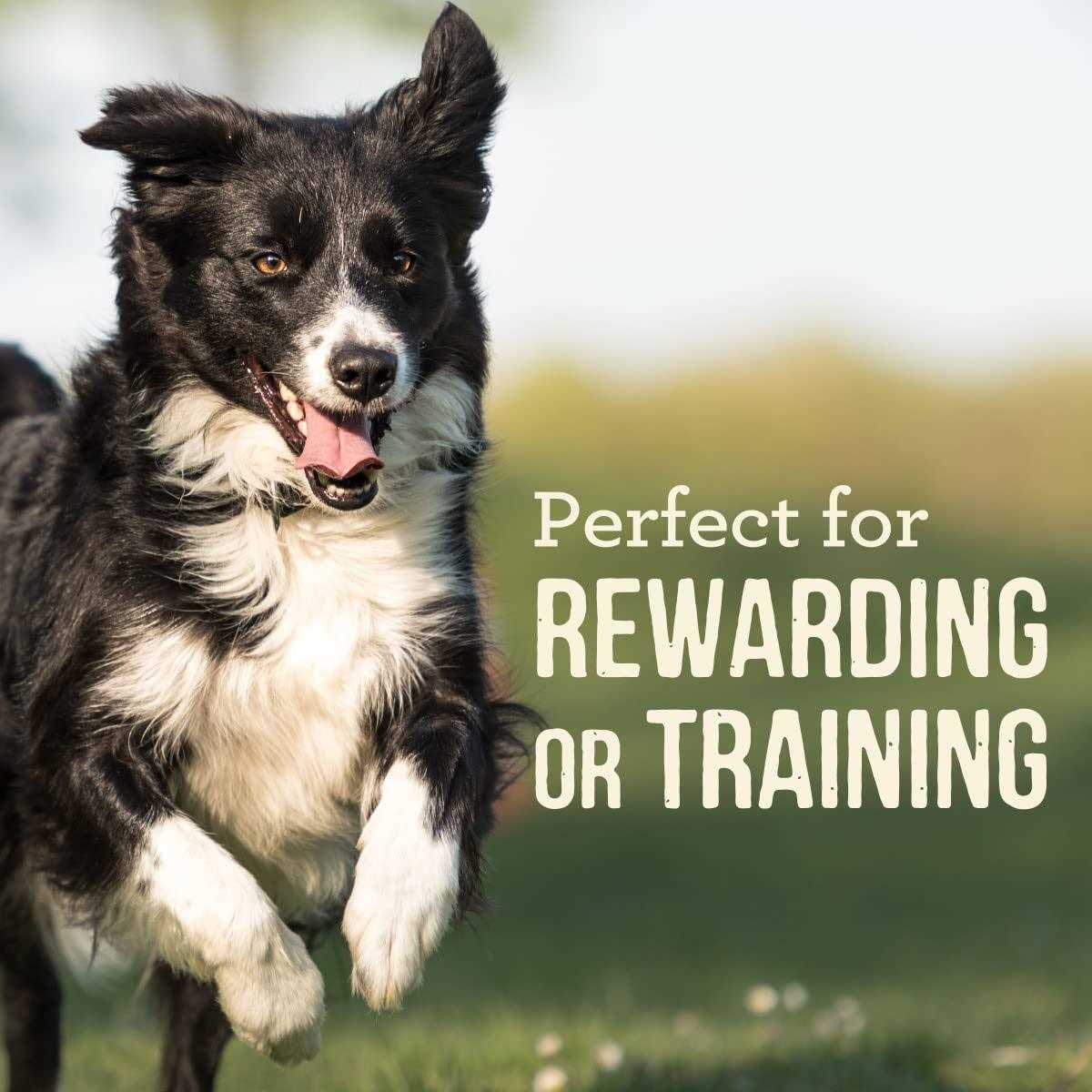 Merrick Power Bites Chicken Dog Treats - Image 4