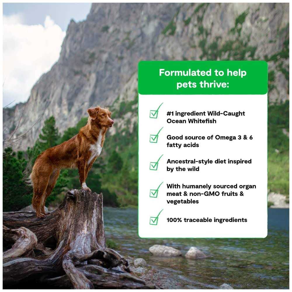 Open Farm RawMix Wild Ocean Grain-Free Dog Food - Image 5