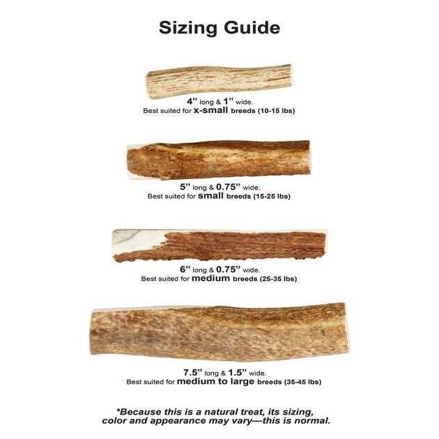 Kong Wild Antler Split - Image 3