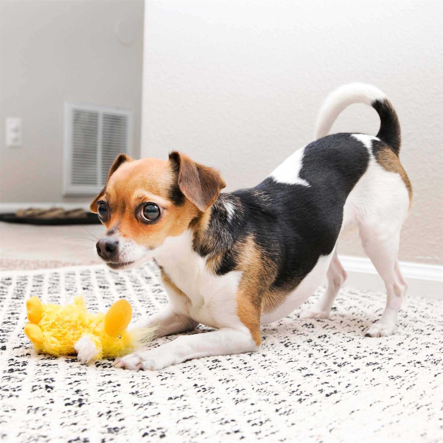KONG Duck Plush Dog Toy - Image 5