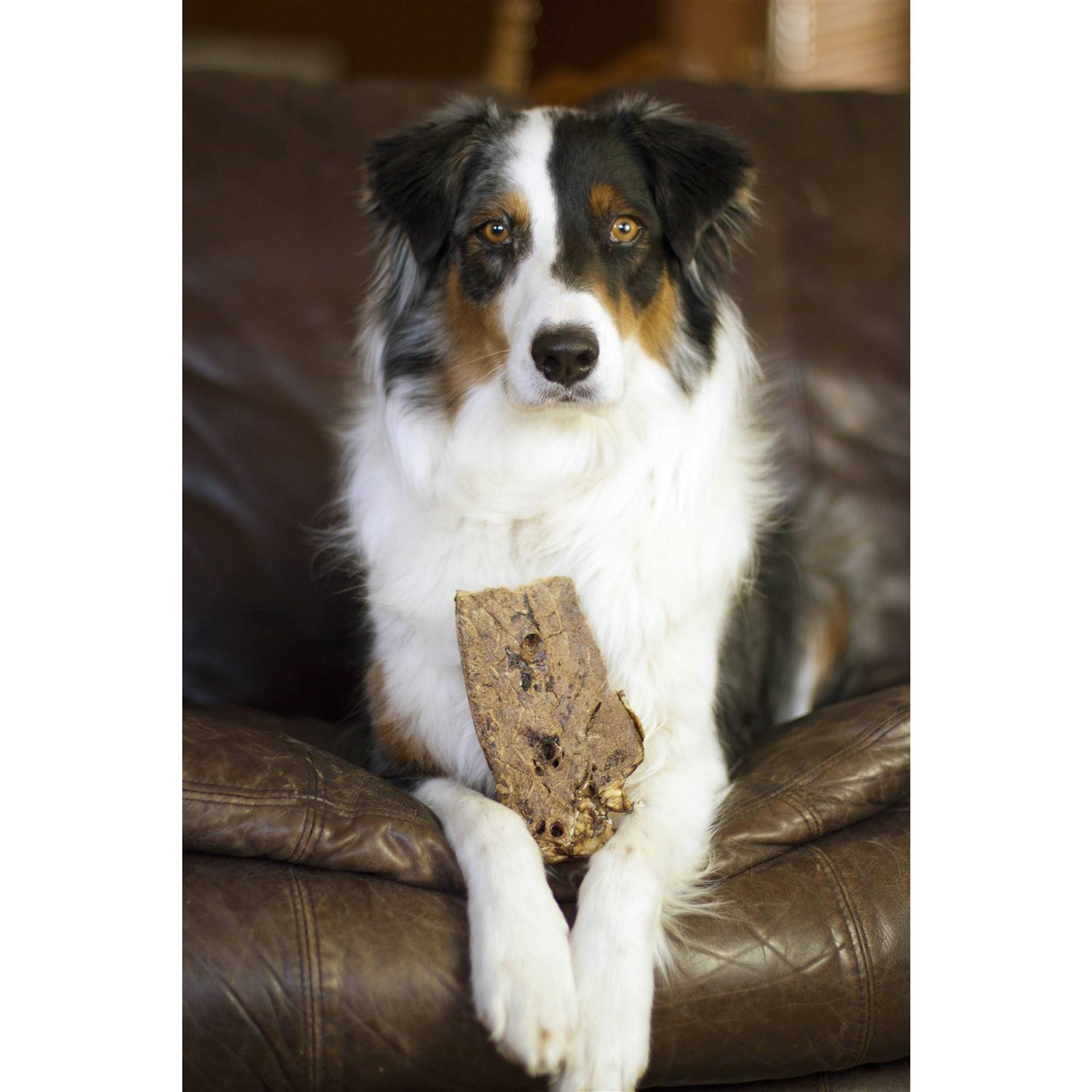 Redbarn Choppers Dog Treats - Image 4