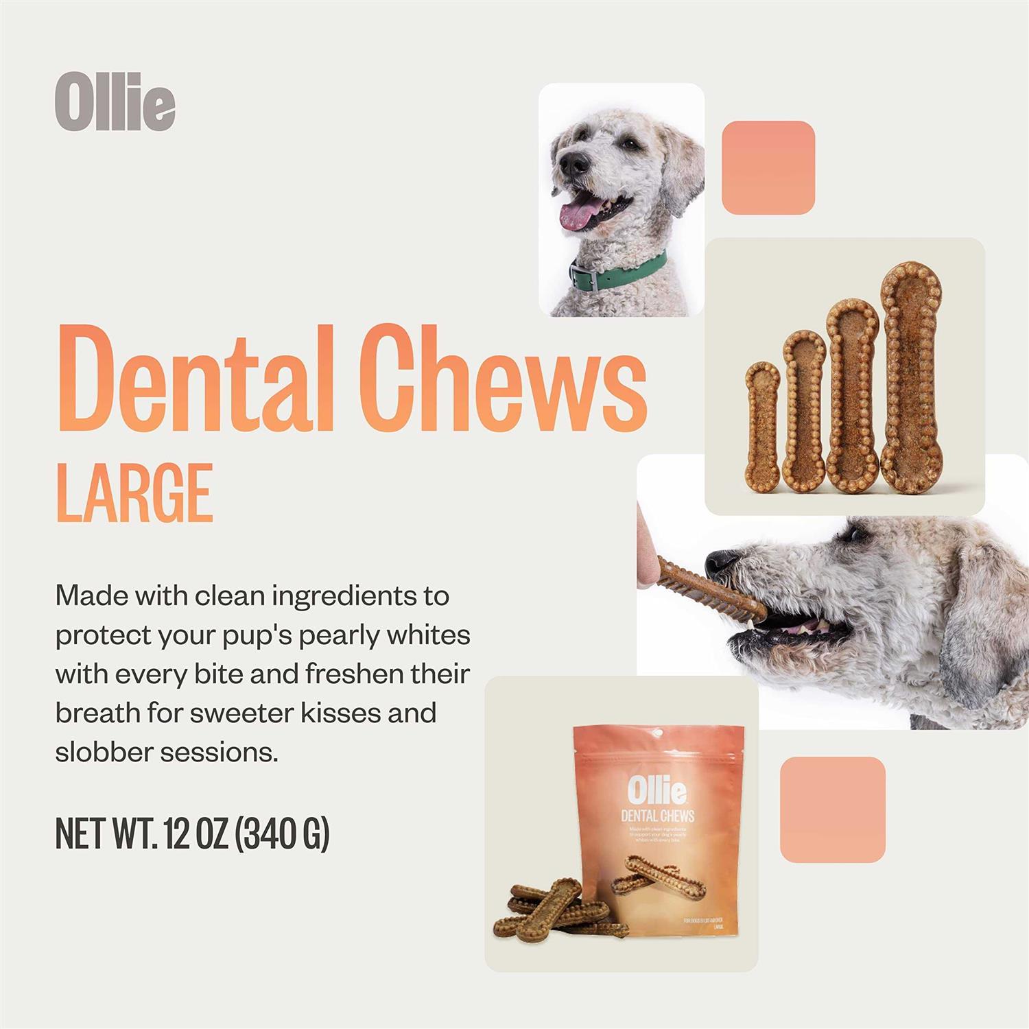 Ollie Dental Chews For Dogs Dog Breath Treats Dog Teeth Cleaning Treat - Image 4