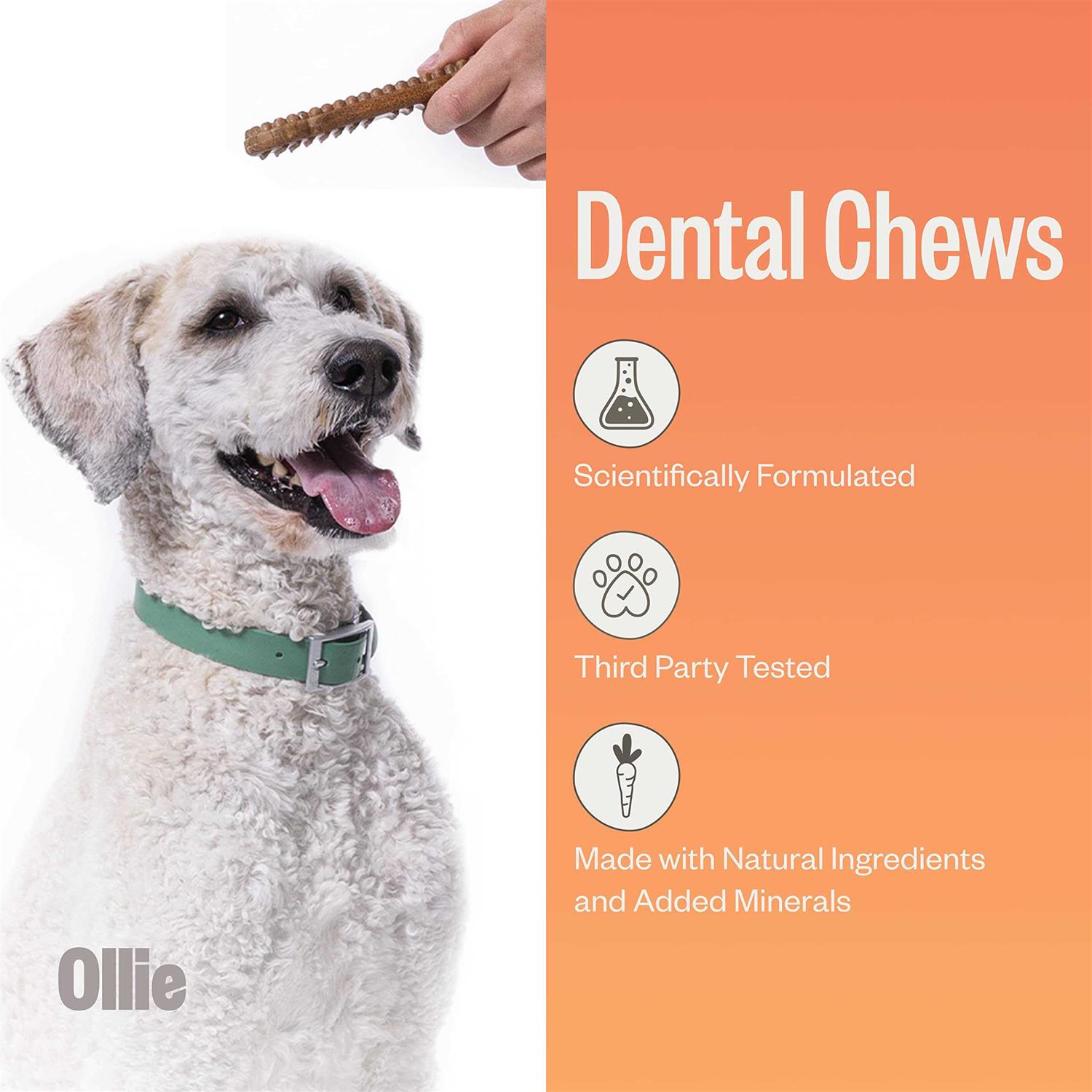 Ollie Dental Chews For Dogs Dog Breath Treats Dog Teeth Cleaning Treat - Image 5