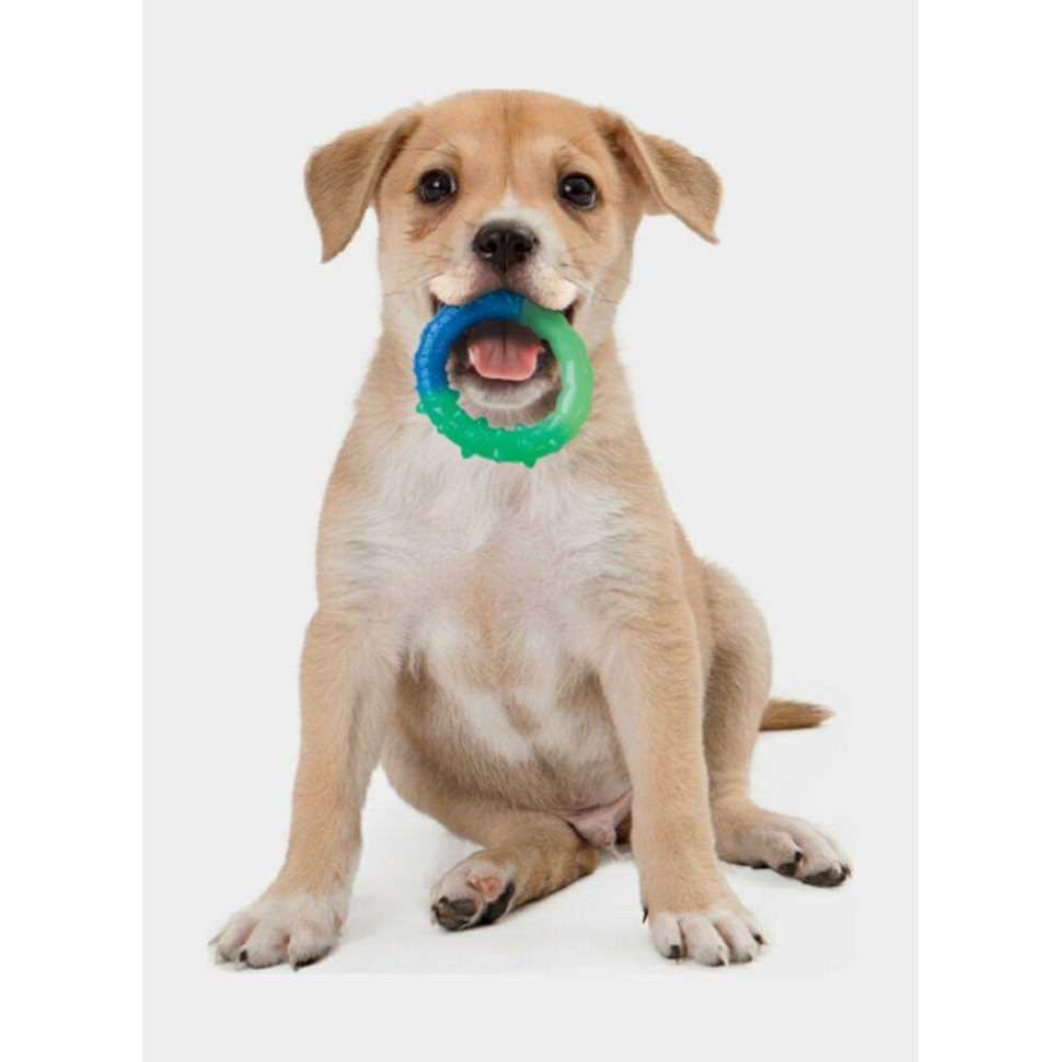 Petstages Grow With Me Ring Dog Toy - Image 2