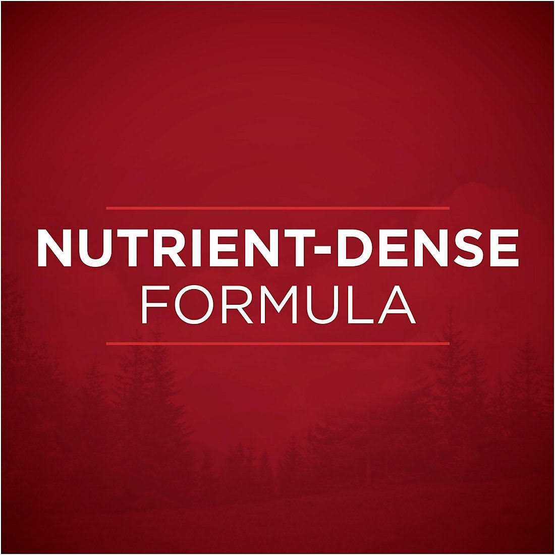 Purina ONE Natural Gravy Wet Dog Food Variety Pack SmartBlend True Instinct Tender Cuts - Image 2