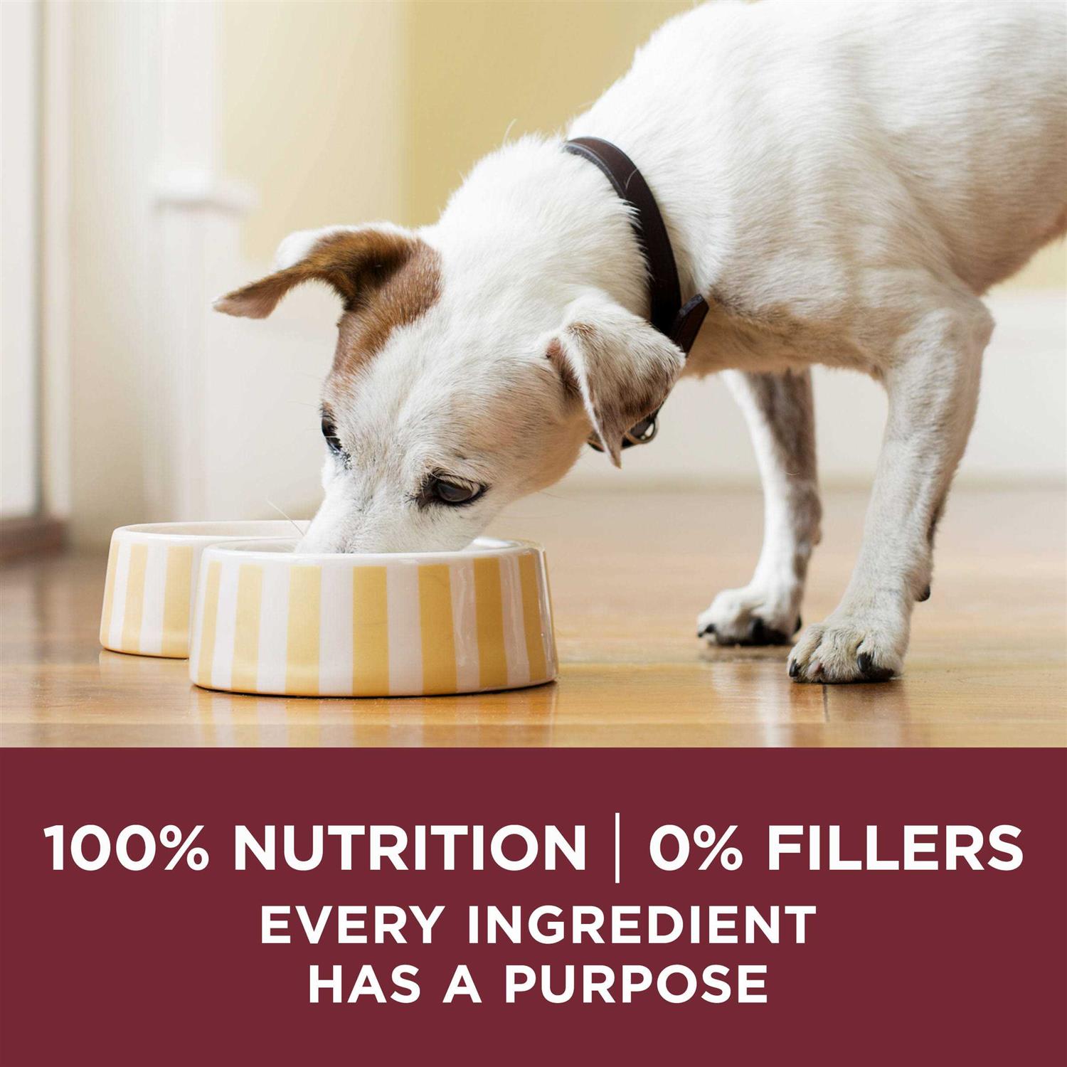 Purina ONE Natural Gravy Wet Dog Food Variety Pack SmartBlend True Instinct Tender Cuts - Image 4