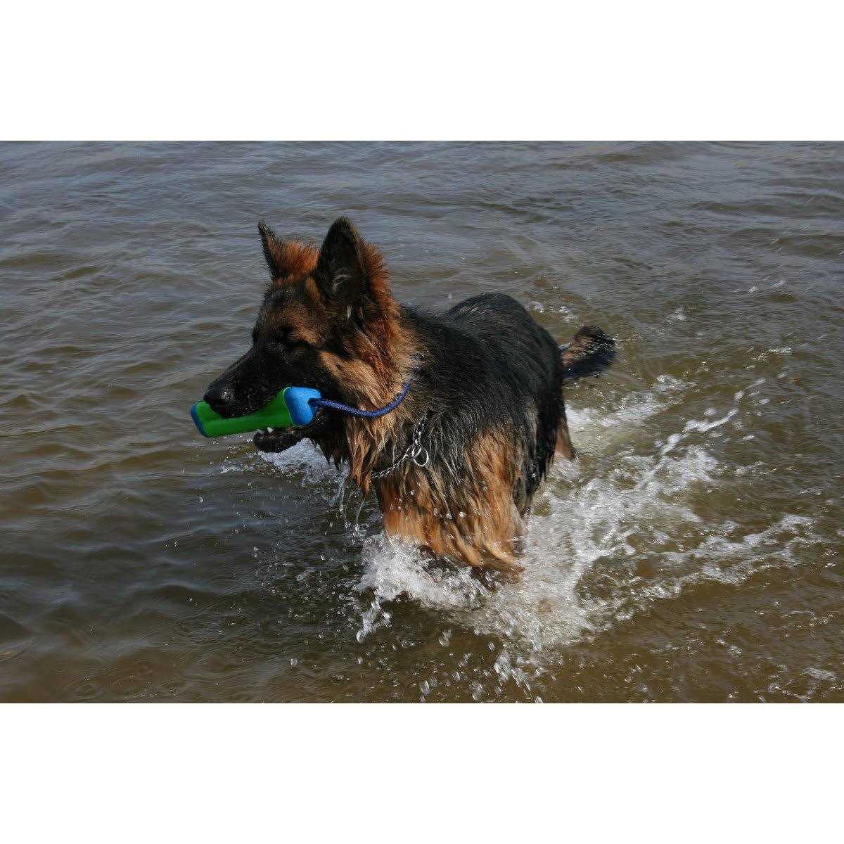 Chuckit! Amphibious Bumper Toy - Image 3