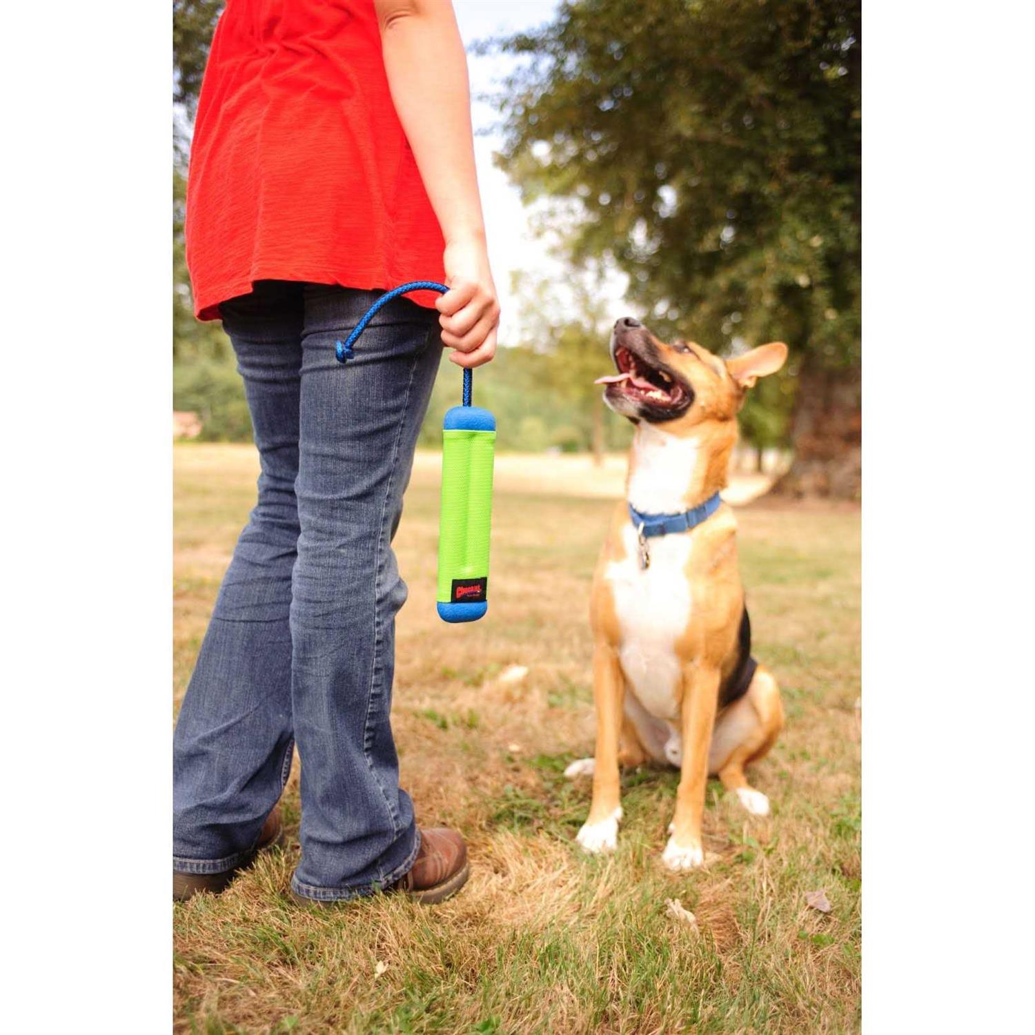 Chuckit! Amphibious Bumper Toy - Image 5