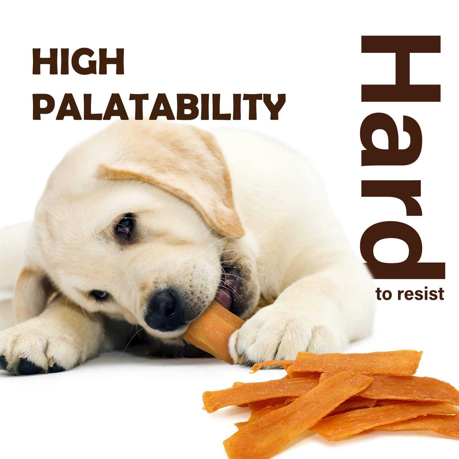 A Freschi srl Afreschi Turkey Tendon for Dogs Dog Treats Series All Natural Human Grade Dog Treat - Image 3