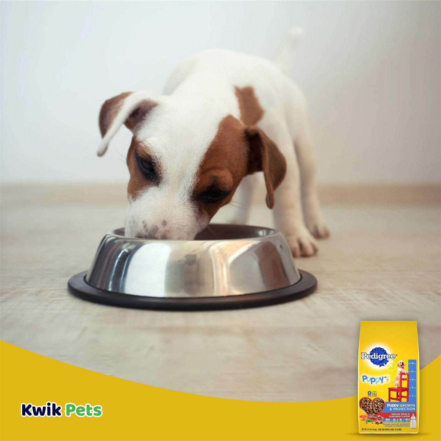 Pedigree Puppy Growth & Protection Dry Dog Food Vegetable Flavor - Image 2