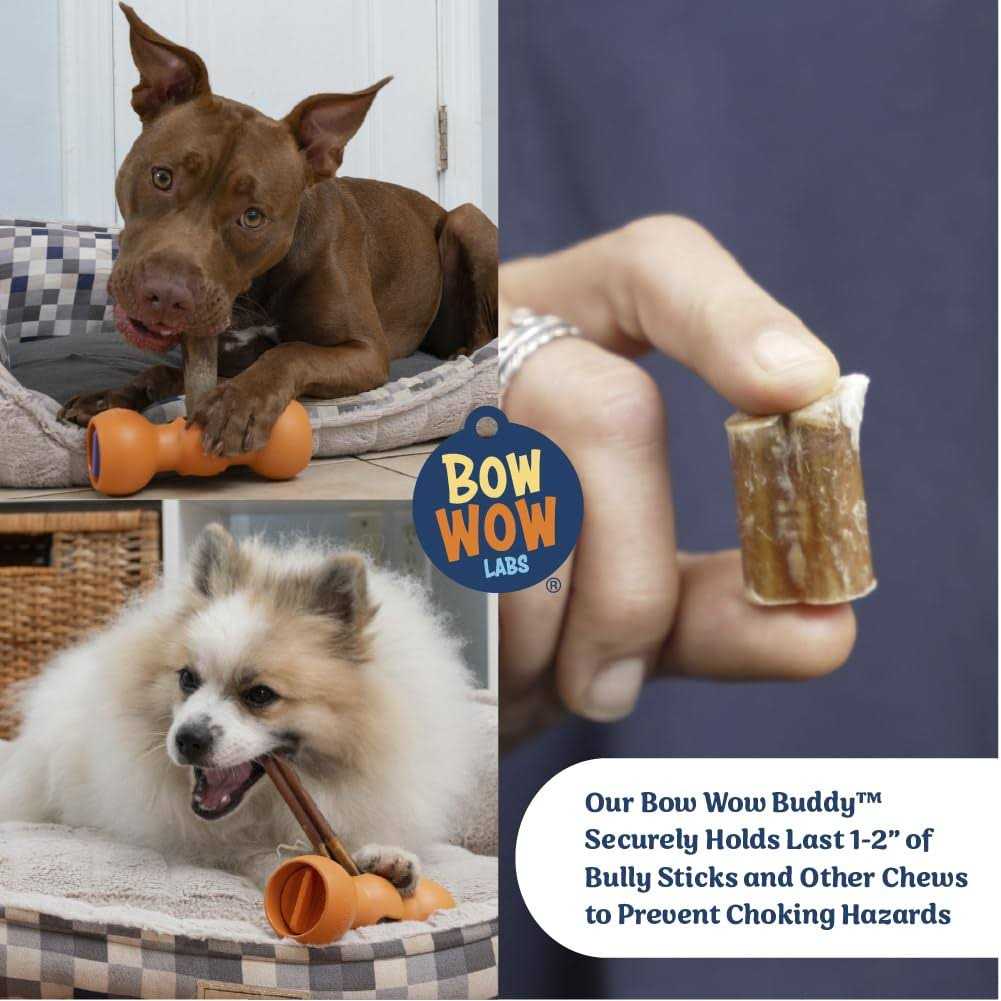 Bow Wow Labs Bully Buddy Bully Stick Holder for Dogs Starter Kit - Image 5