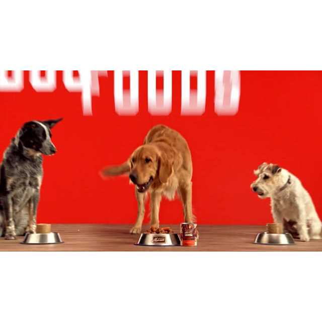 Merrick Grain Free Real Beef Canned Dog Food - Image 3