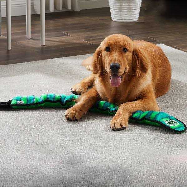 Outward Hound Invincibles Snake Dog Toy - Image 4