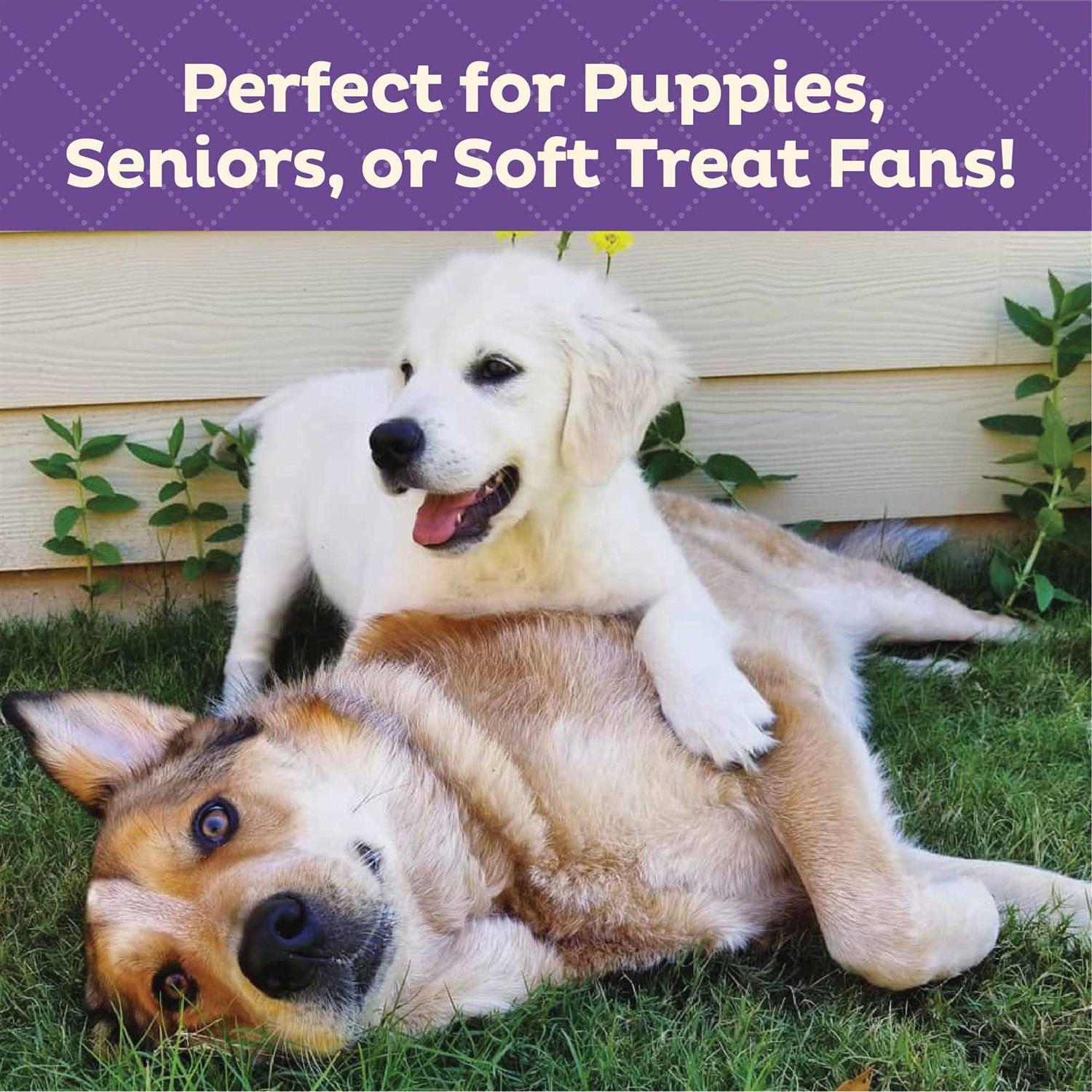 Old Mother Hubbard Soft & Tasty Peanut Butter & Bacon Biscuits Baked Dog Treats Mini - Image 5