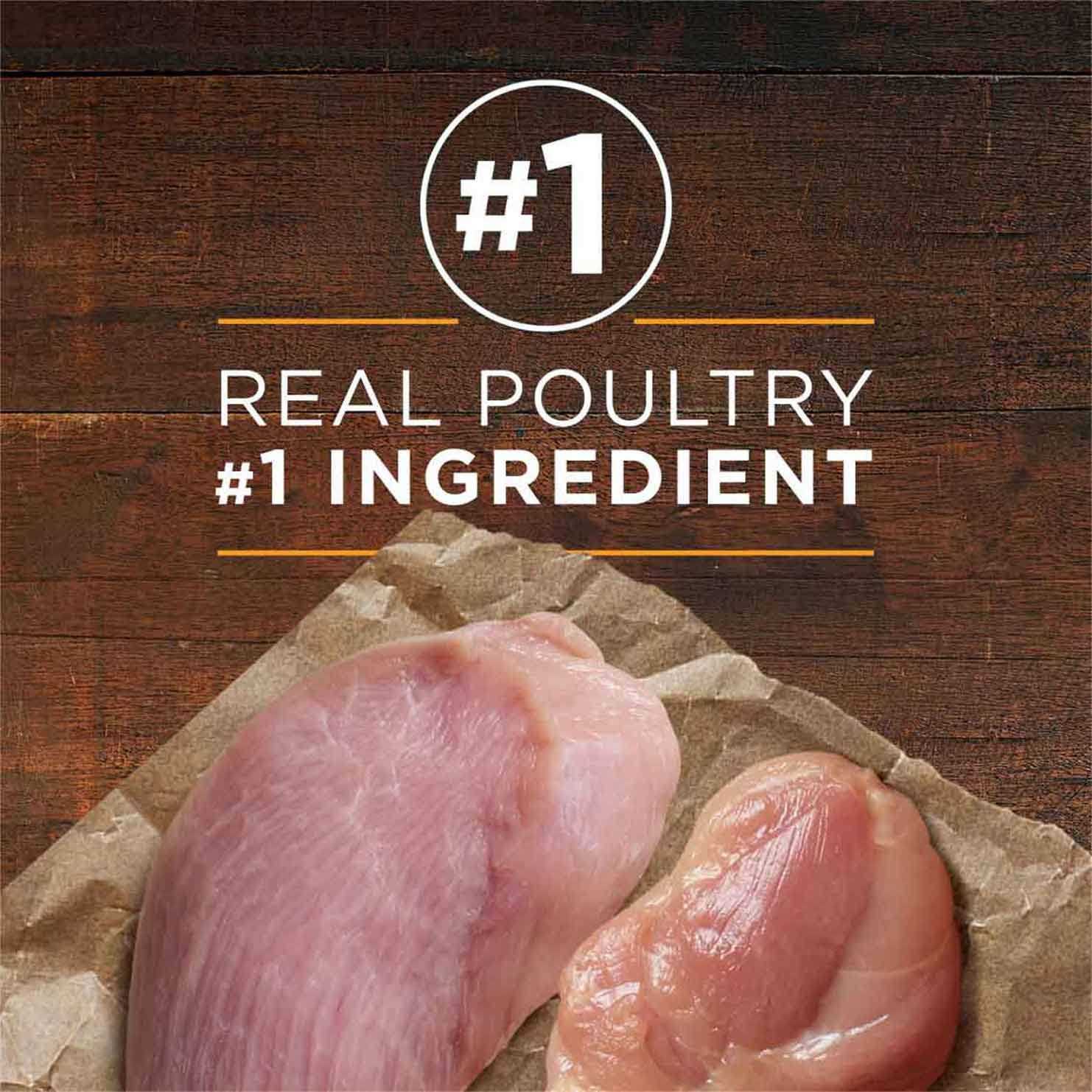 Purina ONE SmartBlend Adult Dog Food True Instinct Grain Free - Image 2