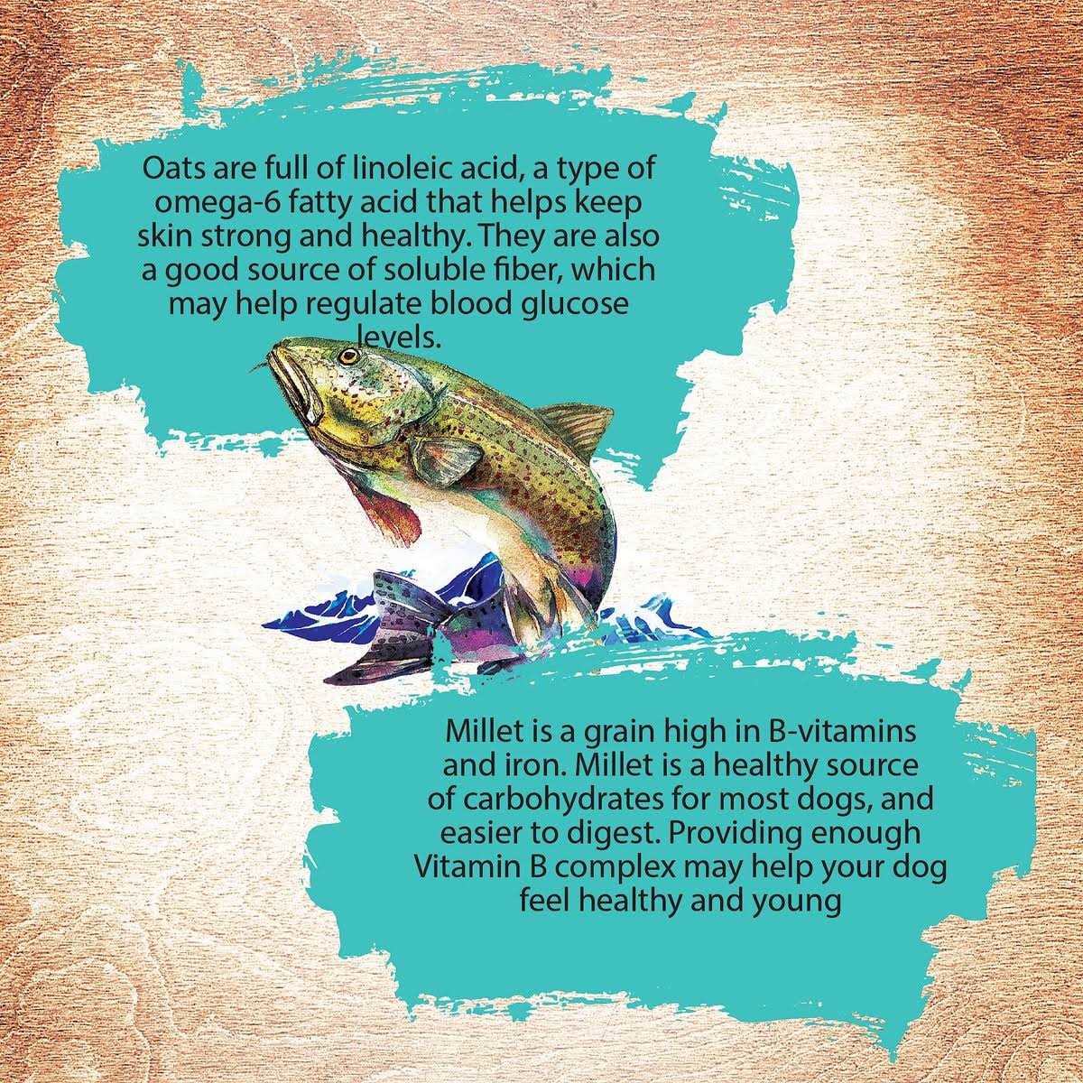 Inception Dog Food - Image 3