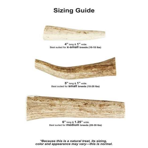 Kong Whole Wild Elk Antler - Image 3