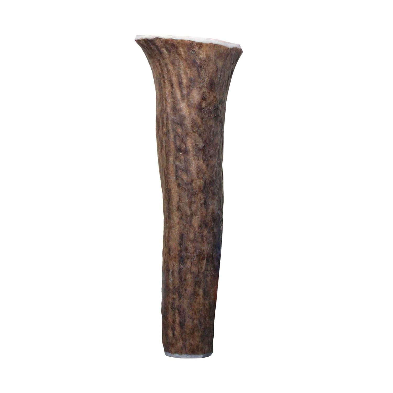 Kong Whole Wild Elk Antler - Image 4