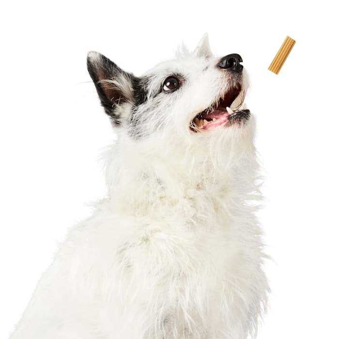 Project Hive Pet Company Chew Sticks Treats - Image 2