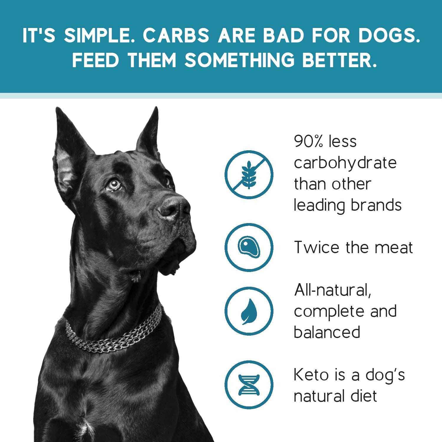 Ketona Salmon Recipe Adult Dry Dog Food Natural Low Carb High Protein - Image 3