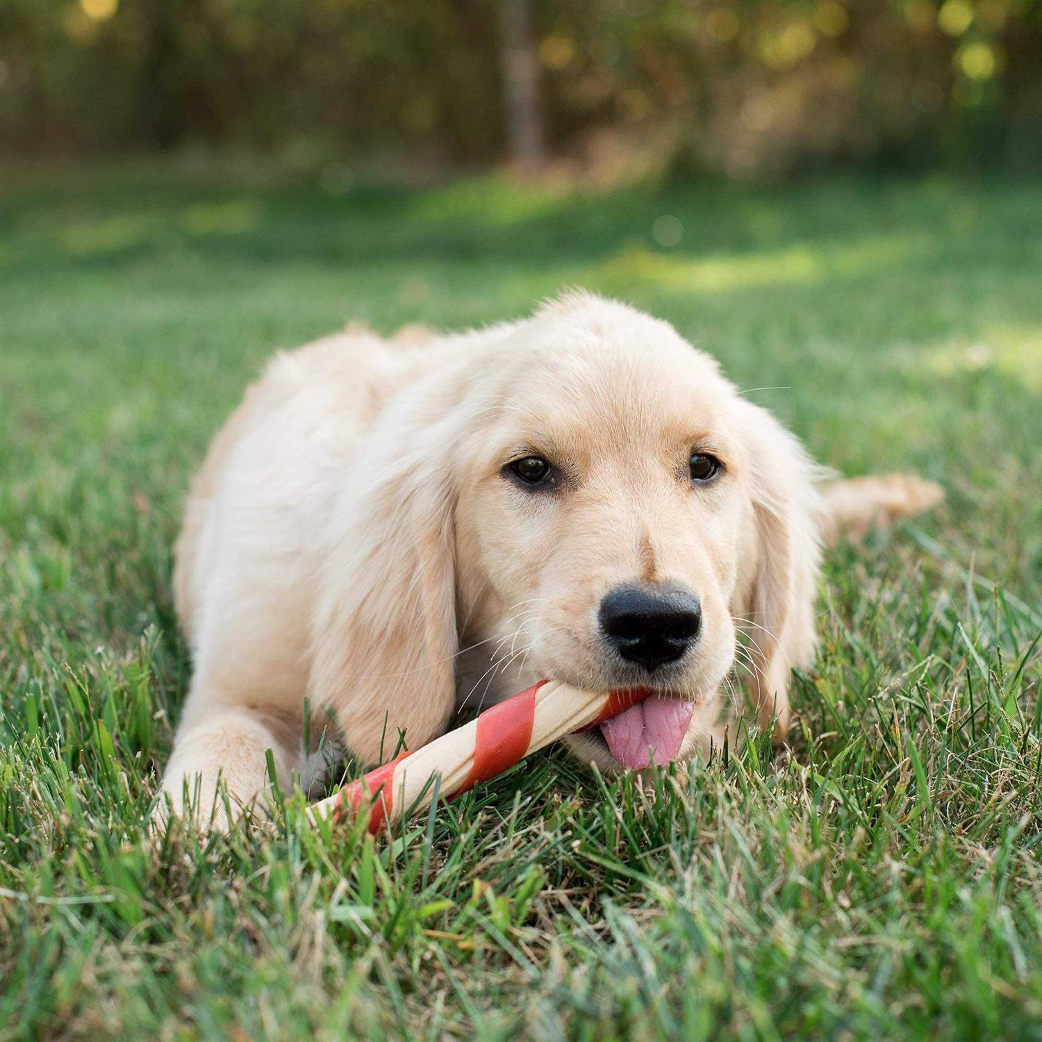 Nutri Chomps Chicken Twists - Image 4