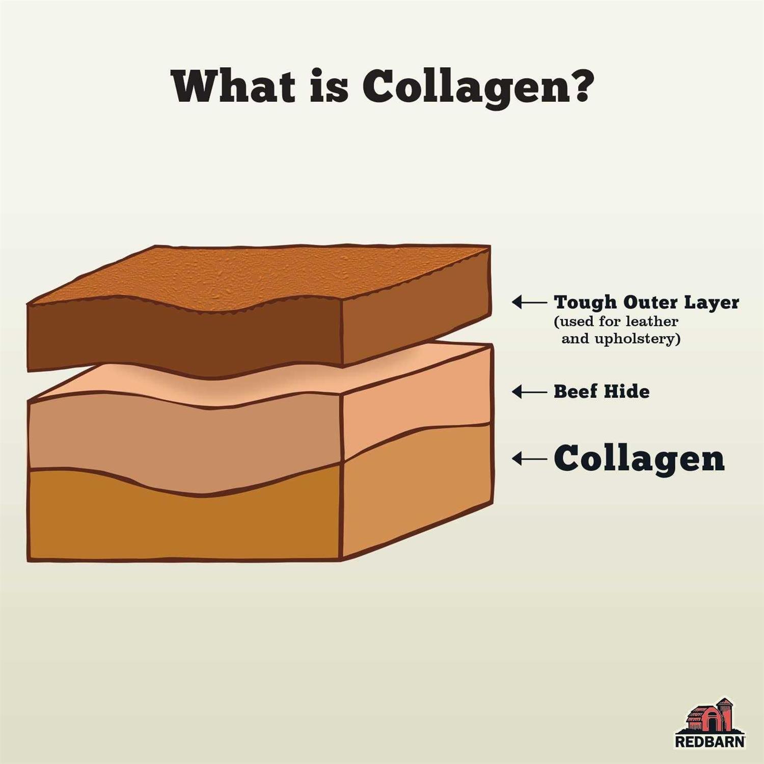 Redbarn Puffed Collagen Braid - Image 5