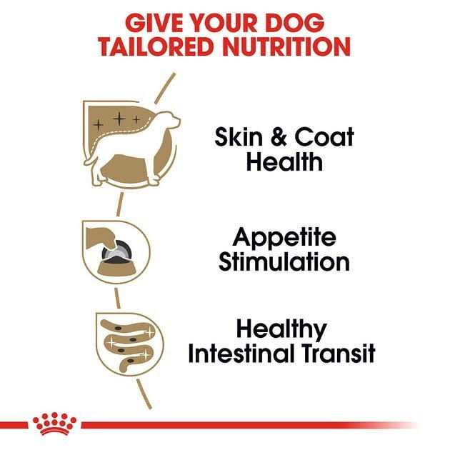 Royal Canin Breed Health Nutrition Yorkshire Terrier Adult Loaf In Sauce Dog Food - Image 3