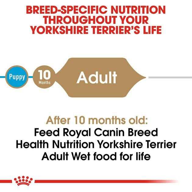 Royal Canin Breed Health Nutrition Yorkshire Terrier Adult Loaf In Sauce Dog Food - Image 5