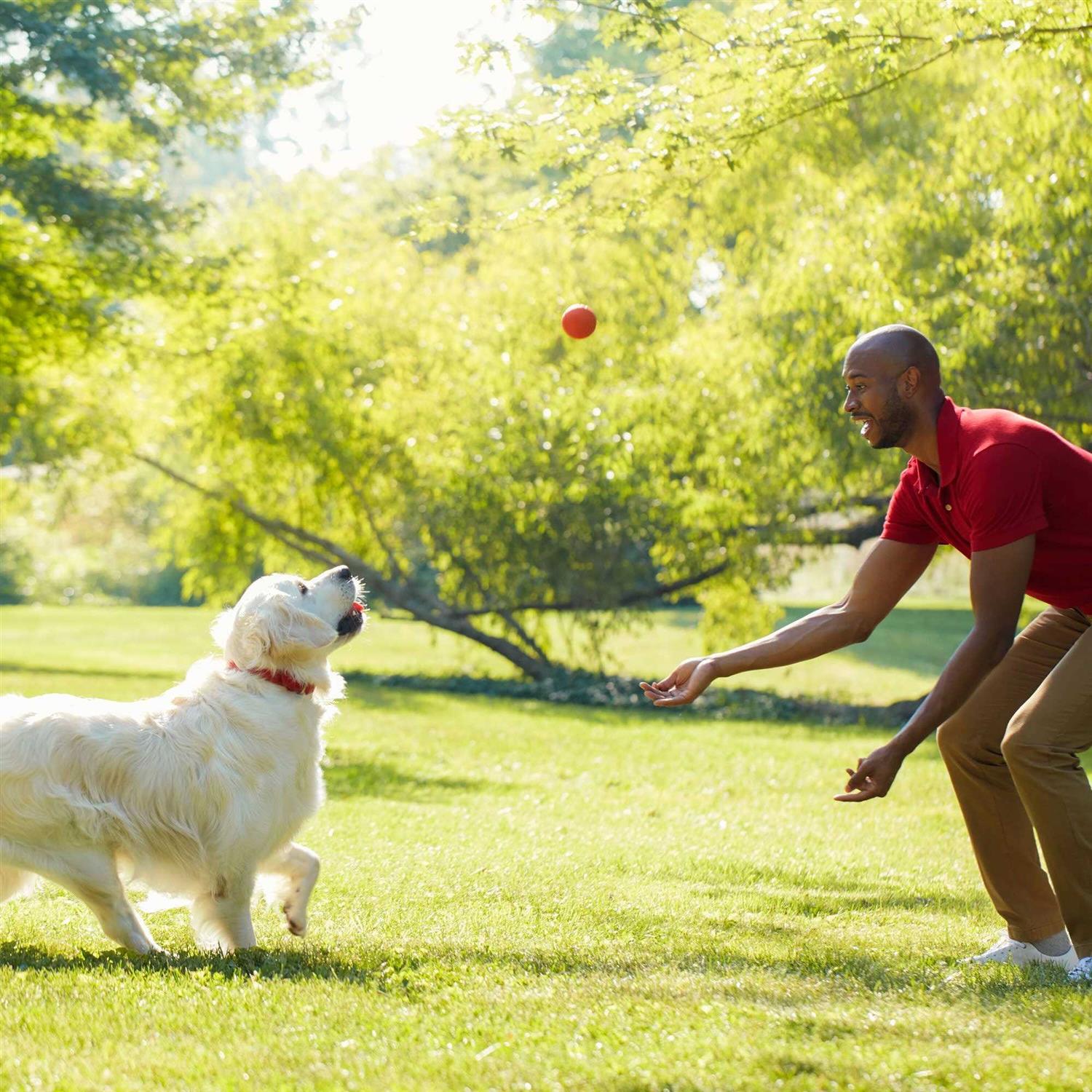 Milk-Bone Simply Original Dog Biscuits - Image 3