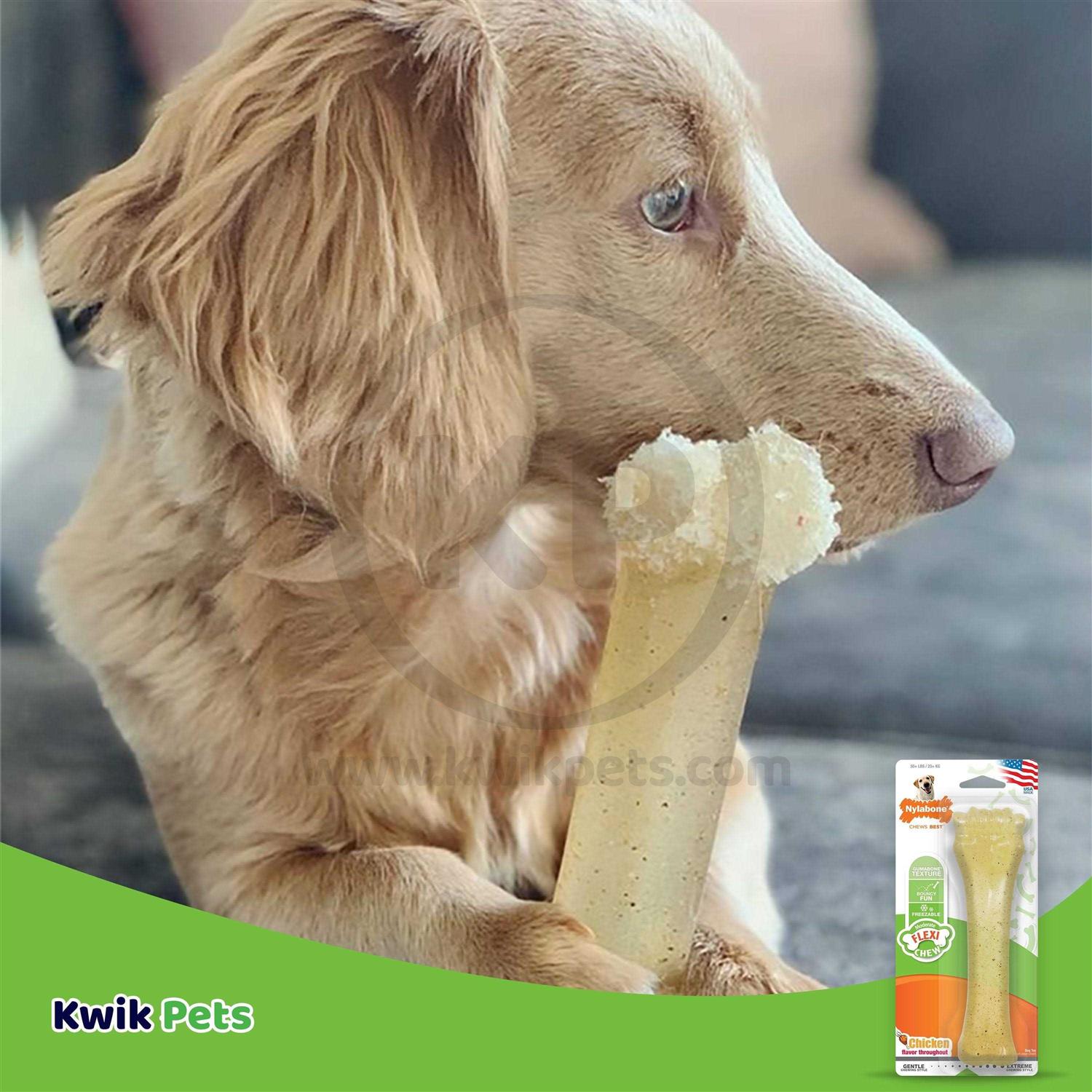 Nylabone Flexi Chew Bone Chicken - Image 5