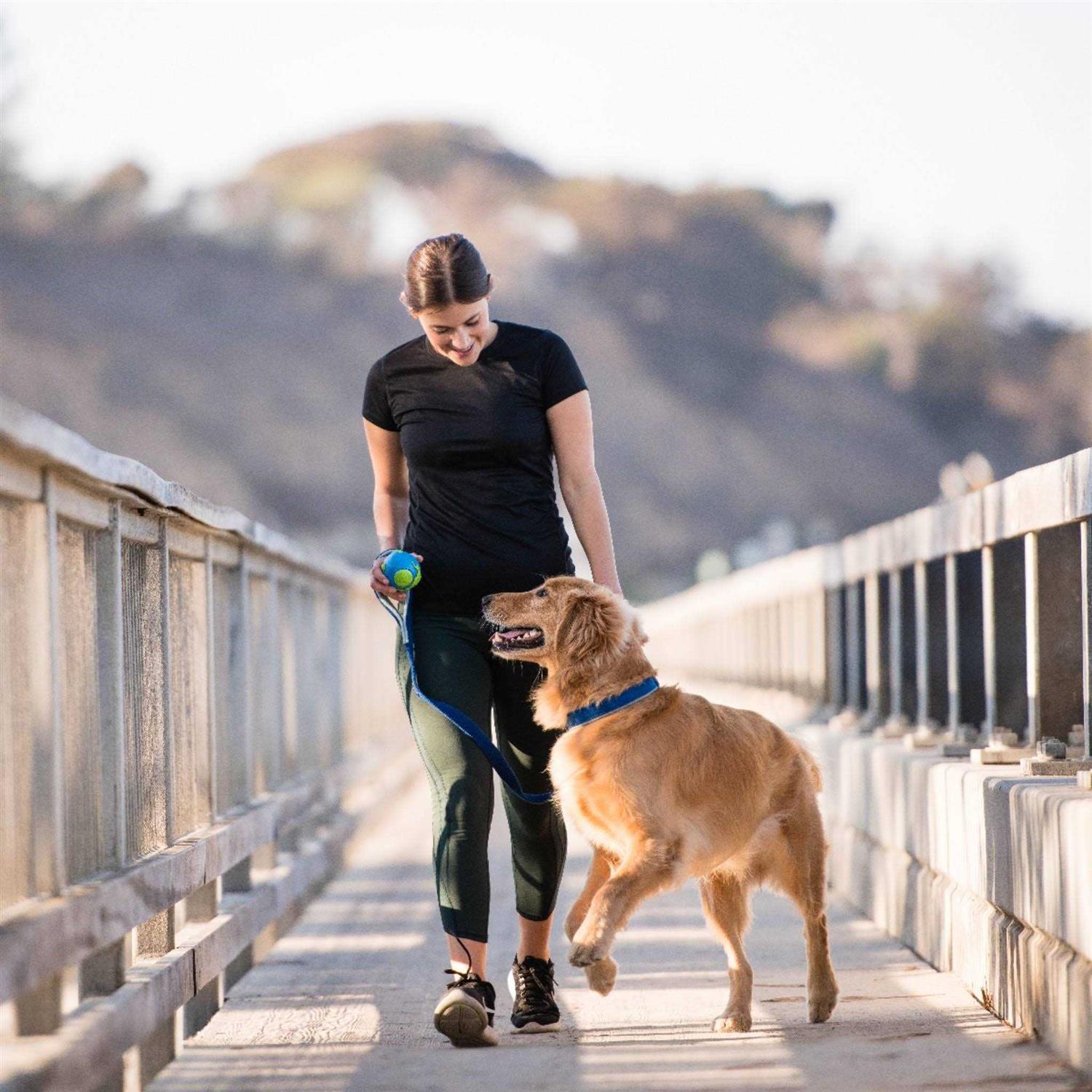 Planet Dog Orbee Tuff Ball Blue - Image 4