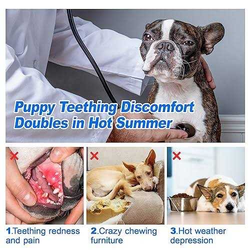 ADDPETS Puppy Toys Frozen 3 Pack for Teething Puppies,Puppy Chew Toys for Teething Relieve Teething Pain Itching - Image 5