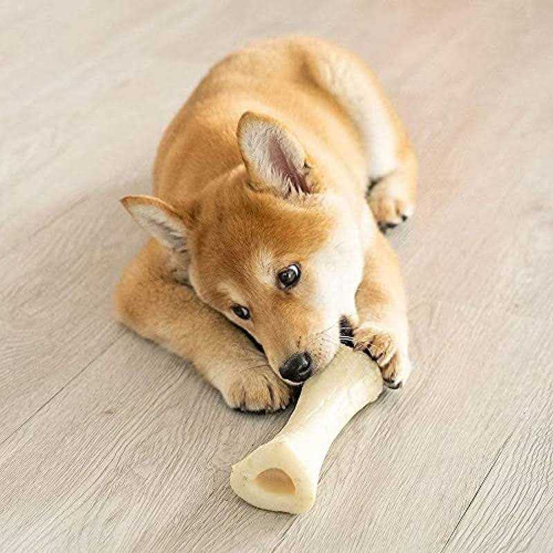 Multipet Happy Birthday Mini Lamb Chop Dog Toy - Image 4