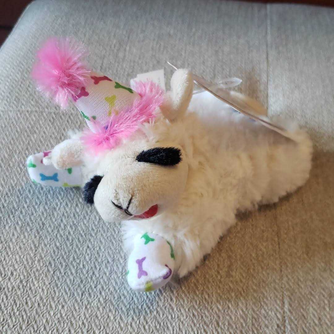 Multipet Happy Birthday Mini Lamb Chop Dog Toy - Image 3