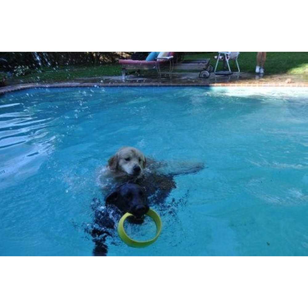 HurriK9 Ring Launcher Dog Starter Pack Dog - Image 3