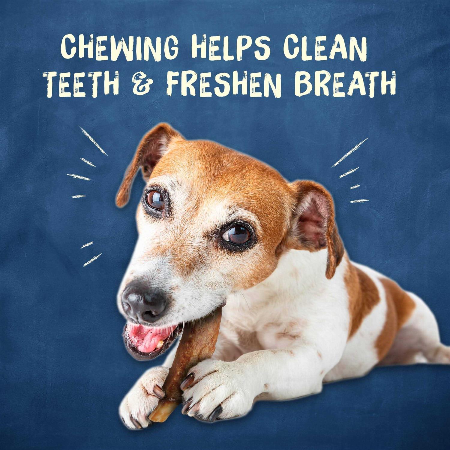Purina Busy Chew Treats - Image 4