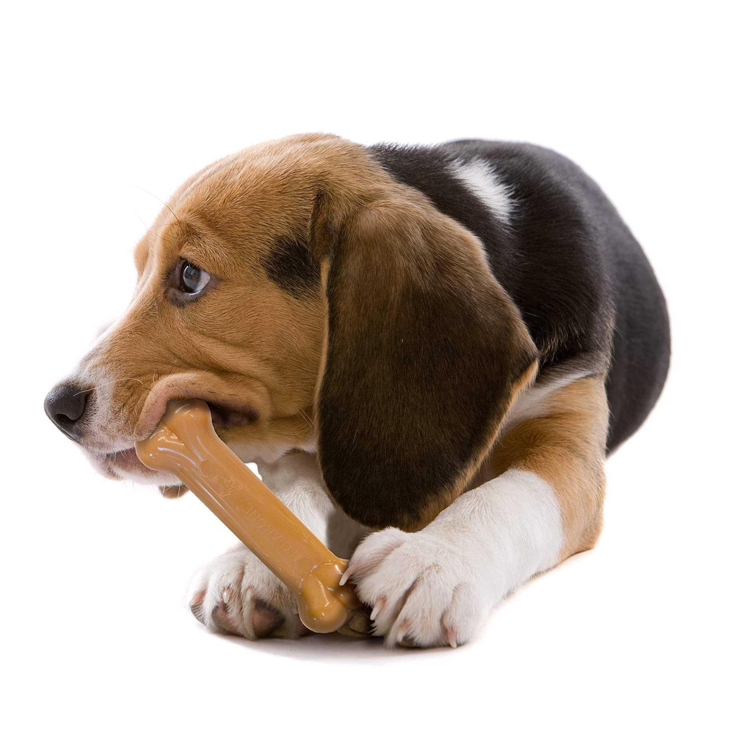 Nylabone Chew - Image 3