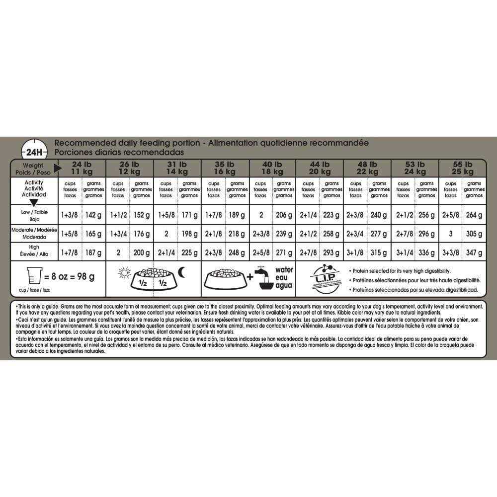 Royal Canin adult Medium Sensitive Skin Care Dry Dog Food - Image 4