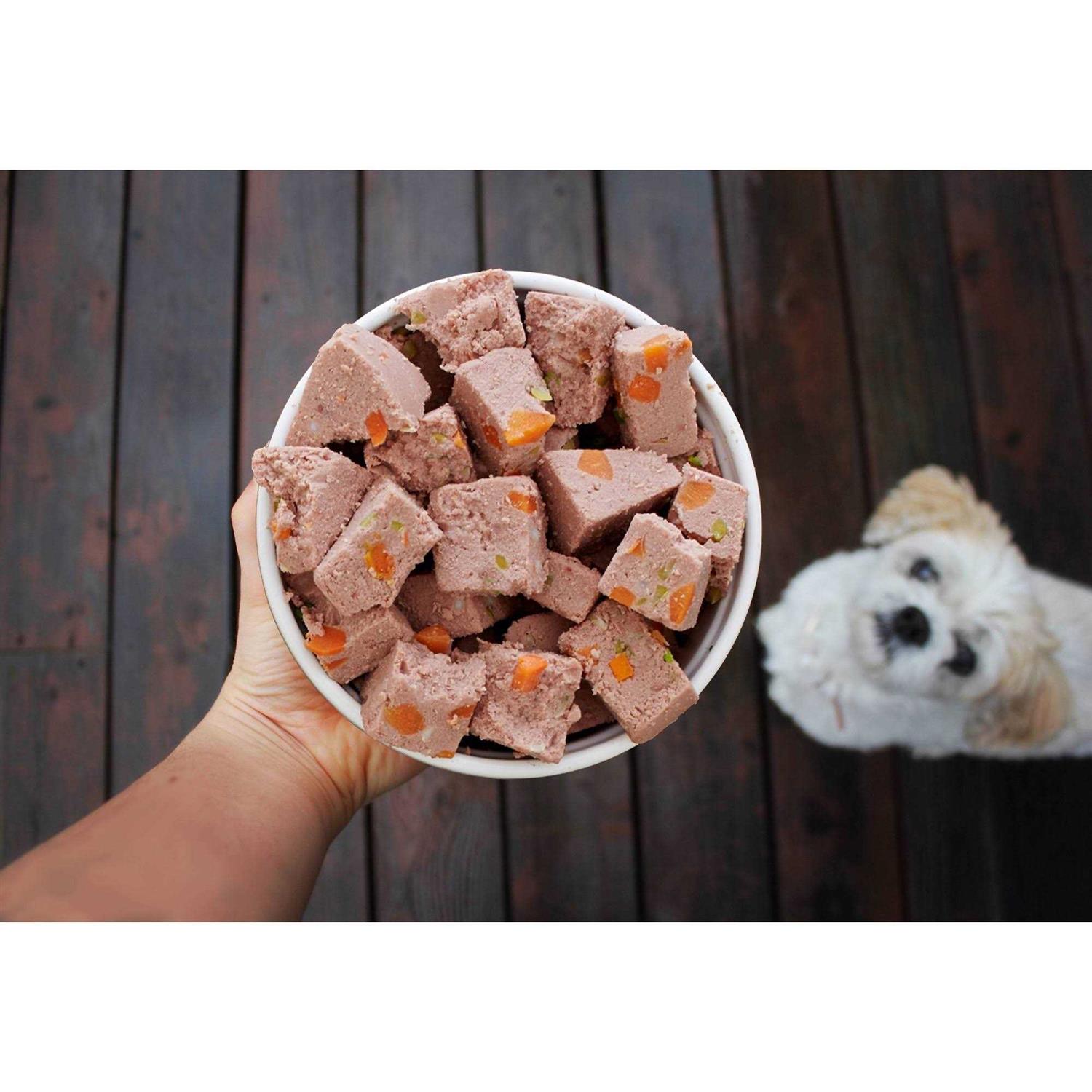 Freshpet Nature's Fresh Adult Grain Free Turkey Recipe Dog Food - Image 4