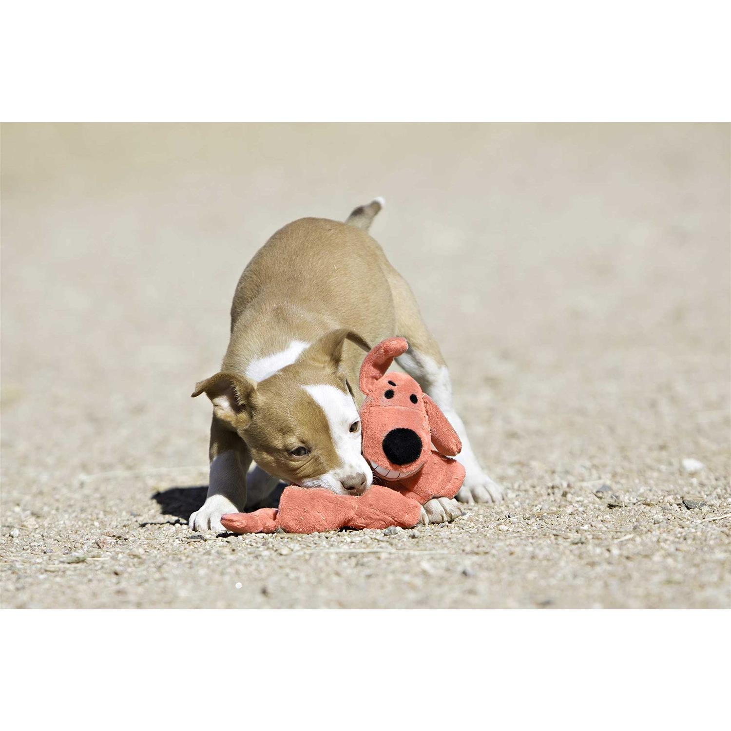 Multipet Loofa Squeaker Mat Dog Toy - Image 4