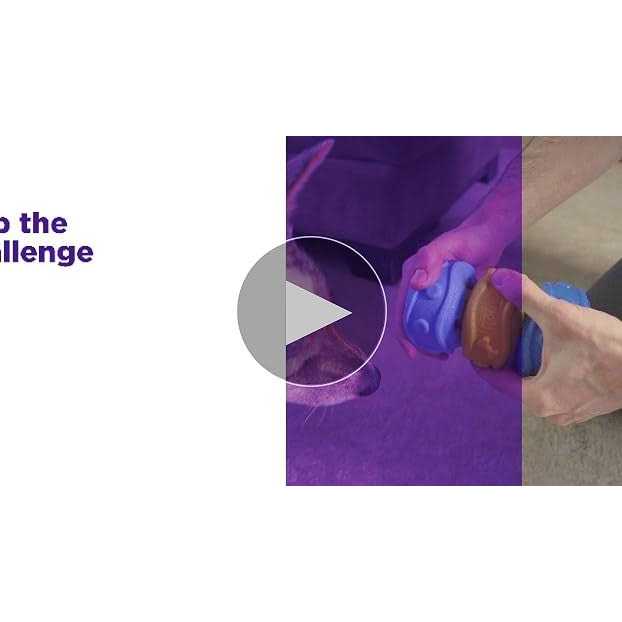 Outward Hound Treat Locking Discs Dispenser Puzzle Dog Toy - Image 4